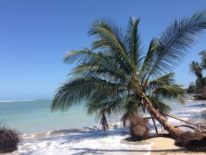 Pflegedienst in Costa Rica