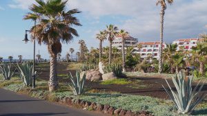 Pflegedienst auf Teneriffa